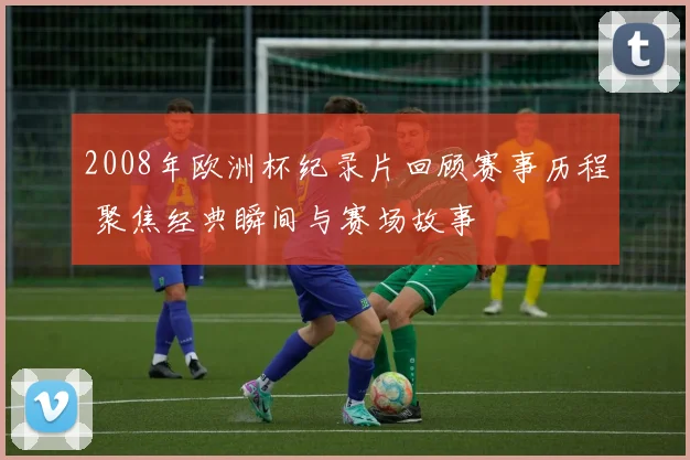 2008年欧洲杯纪录片回顾赛事历程 聚焦经典瞬间与赛场故事